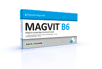 MAGVIT B6